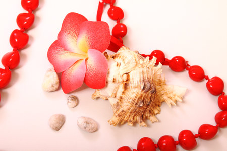 Composition of flowers and shells. Paraphernalia, environment Thai, Hawaiian massage. Banner for advertising Thai massageの写真素材