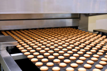 Controlling the work of huge conveyor machine producing spice cakes at the confectionary plant. Cookie production line. Innovative biscuit production..の写真素材