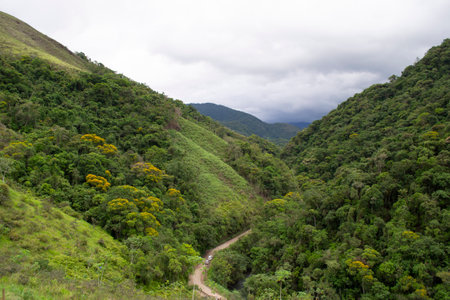 Panorama of the view of the Atlantic Forest in the city of Apiaí, São Paulo, Brazil.
