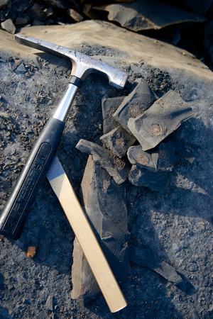 Fossil hunting tools ammonite Charmouth Dorset Englandの写真素材