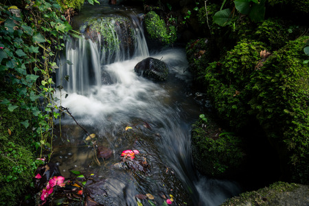 Mountain creek cascade with fresh green moss on the stones, long exposure for soft water lookの写真素材