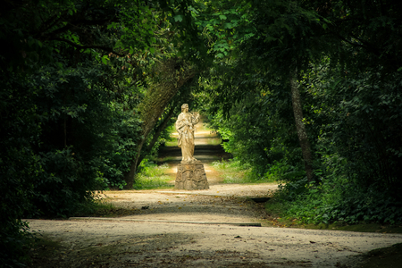 Nature path surrounded by trees in the autumn forestの写真素材