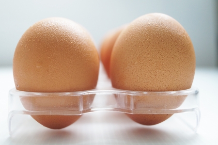       Eggs and food                         