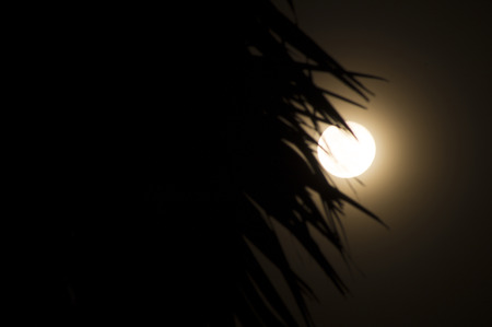 full moon with shadow of tree in dark in Songkran day, Thailandの写真素材