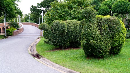 green gardenの写真素材