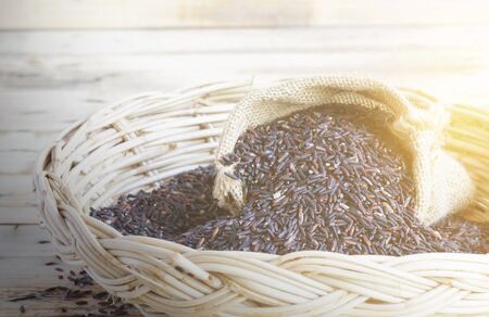 Black rice Thailand (Berry rice)の写真素材
