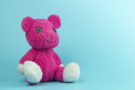 pink bear doll on blue backgroundの写真素材