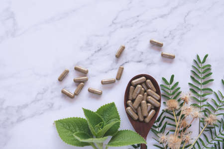 success and successful negotiation    in business, handshake and shake hand of two businessmenの写真素材