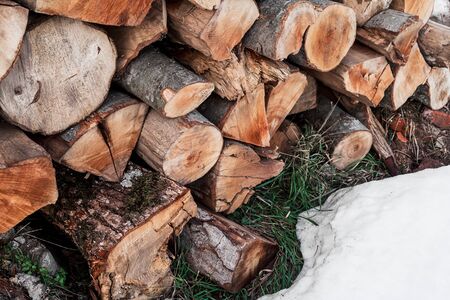 Firewood in the snow