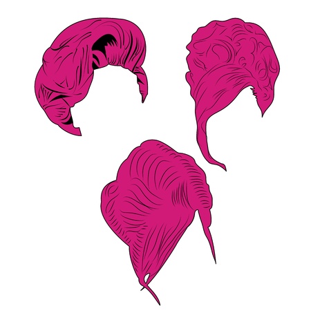 long Hair stylingのイラスト素材