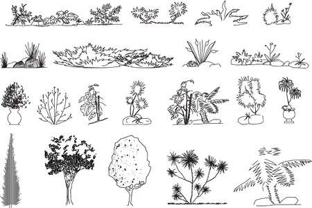 set of different trees   のイラスト素材
