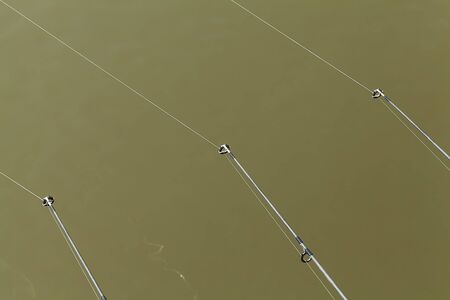 Carp fishing rodsの写真素材