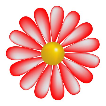 White daisy background, vectorのイラスト素材