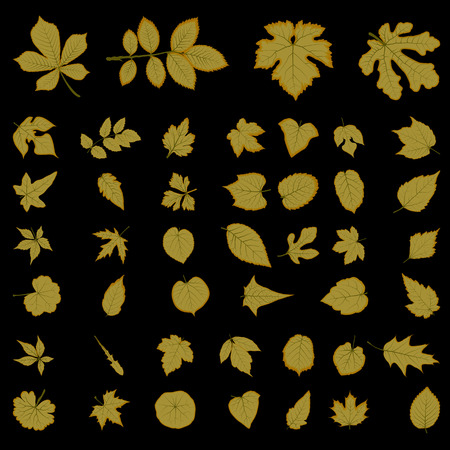 Leaf collection, vectorのイラスト素材