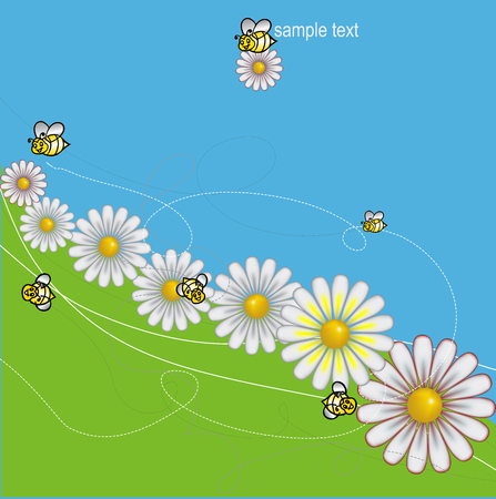 DAISIES meadow with bees background, vectorのイラスト素材