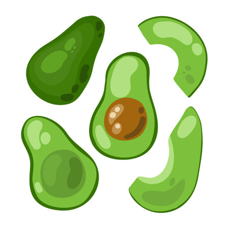 Avocado set elements. vector clipart.のイラスト素材