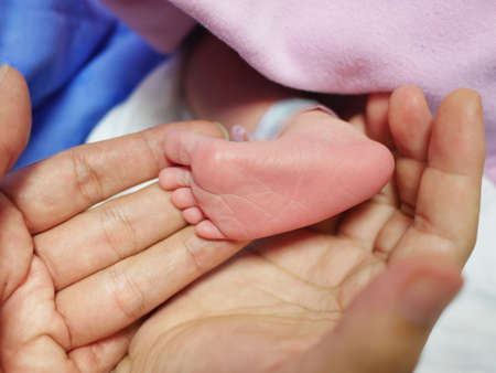 Mother's hand place on the sleeping newborn baby, baby and mother conceptの写真素材
