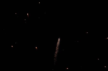a picture of a beautiful firework in dark sky