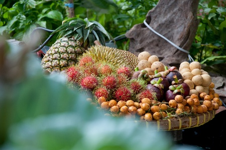 a picture of beautiful colorful thai fruitsの写真素材