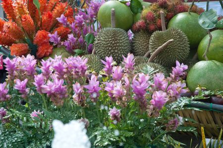 a picture of beautiful colorful thai fruitsの写真素材