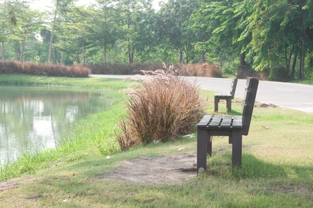 a picture of beautiful chairs in gardenの写真素材