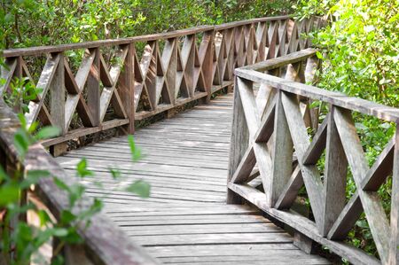 a picture of a road way for walk for peopleの写真素材