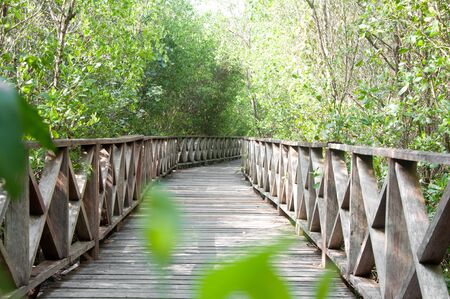 a picture of a road way for walk for peopleの写真素材