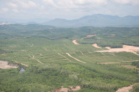 mountain and forest landscape in thailand
