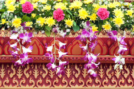 colorful flowerの写真素材