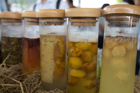 Saraburi, Thailand - July 19: Food garbage in glass tube preserved to make Bio Cleaner Product objective for recycle on Jul 19, 2013 at PTT Life Station Saraburi, Thailandのeditorial素材