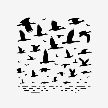 illustration of a flock of migrating birds flying in the sky in black and white silhouetteのイラスト素材