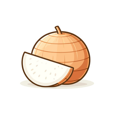 fresh jicama fruit cartoon in flat design styleのイラスト素材