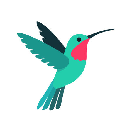 Colorful Hummingbird Illustration in Flight Against White Backgroundのイラスト素材