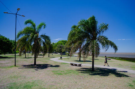 Person walking in the park near the coast on a sunny day