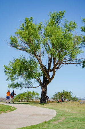 People enjoying the day walking and resting in the parkのeditorial素材