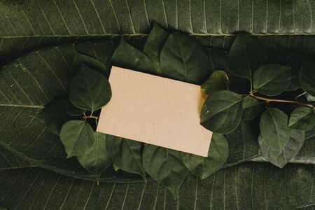 Creative layout made of flowers and leaves with paper card. Flat lay. Square frame, Creative layout...