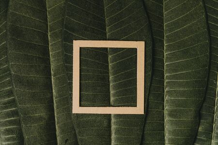 Creative layout made of flowers and leaves with paper card. Flat lay. Square frame, Creative layout made with green leaves background. Blank for advertising card or invitation. Nature concept. Summer poster.の写真素材