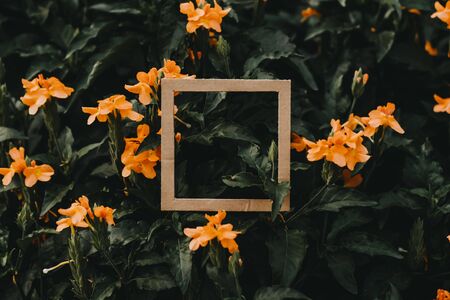 Creative layout made of flowers and leaves with paper card. Flat lay. Square frame, Creative layout made with green leaves background. Blank for advertising card or invitation. Nature concept. Summer poster.の写真素材