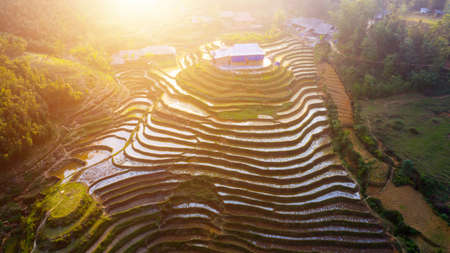 Aerial top view of paddy rice terraces, green agricultural fields in countryside or rice field...