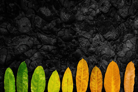 Different stages of life on dark tree bark texture. Oak wood background. Dry log material cracked surface. Concept of aging, growth, death. Cradle to grave.の写真素材
