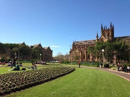 Garden park church sky trees plants lamp beautiful vegetation の素材