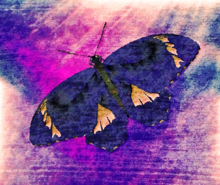 Butterfly Painting Art Monetの写真素材