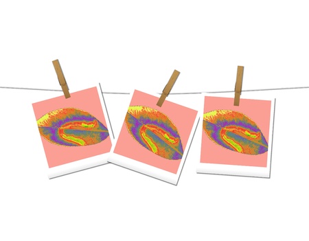 art leaves autumn abstractの写真素材