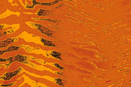 Art animal skinの写真素材