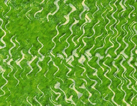 Art Seascape Painting の写真素材