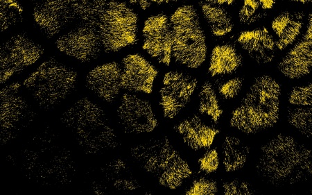 Art leopard fur textures background for design
