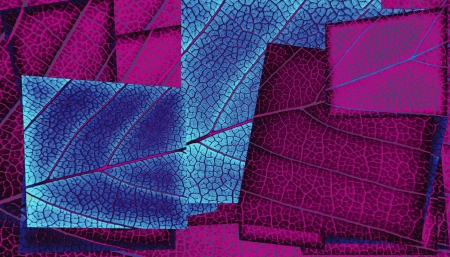 retro art leaf for design
