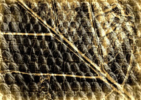 Old photo art leaf grunge textures background