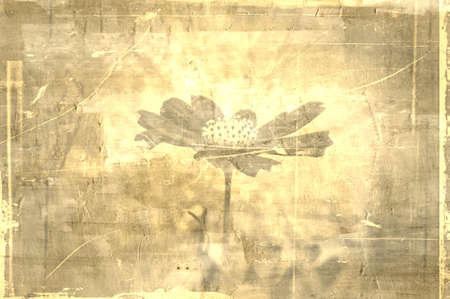flower abstract textures and backgroundsの写真素材