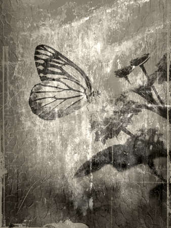 Butterfly on flower abstract textures and backgrounds の写真素材